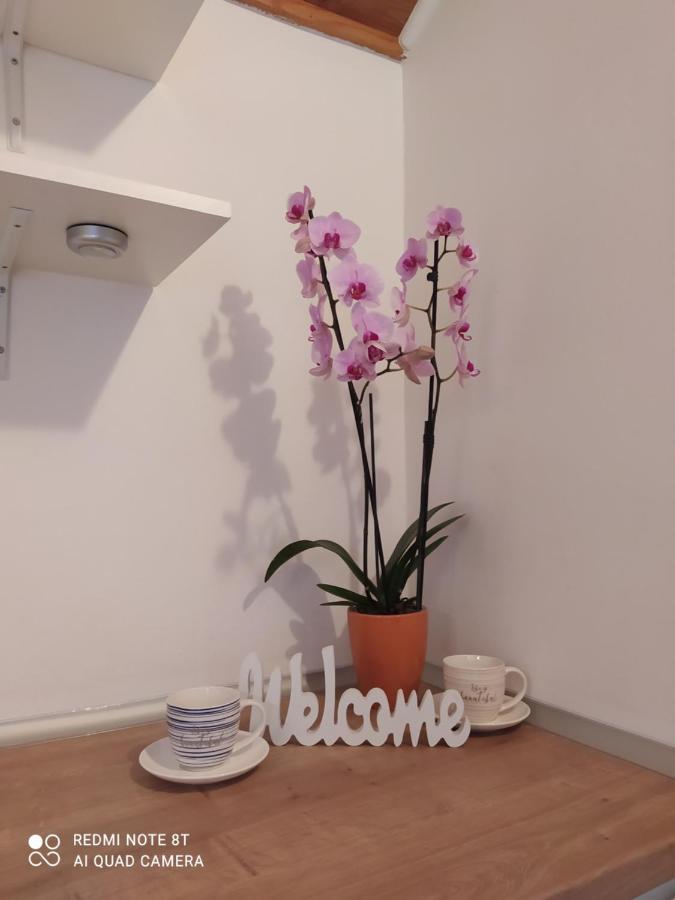 Apartments Ante Tribalj エクステリア 写真