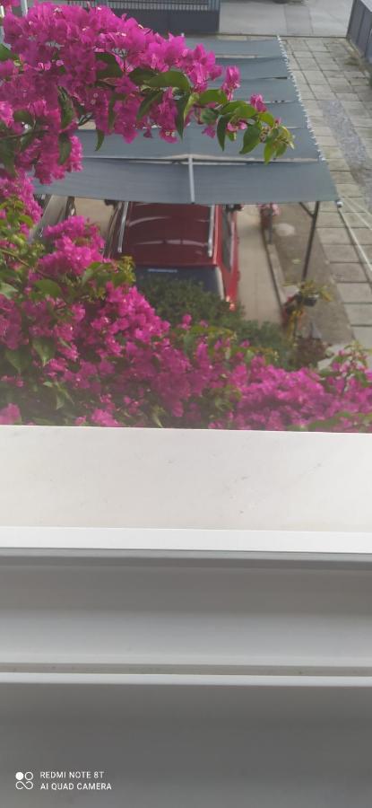 Apartments Ante Tribalj エクステリア 写真